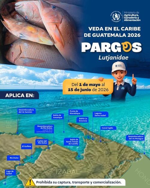 La veda en el Caribe define las &aacute;reas y especies que est&aacute;n restringidas. (Foto: MAGA)