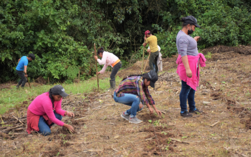 WFP ha capacitado a varias comunidades (Foto: Nuestro Diario)