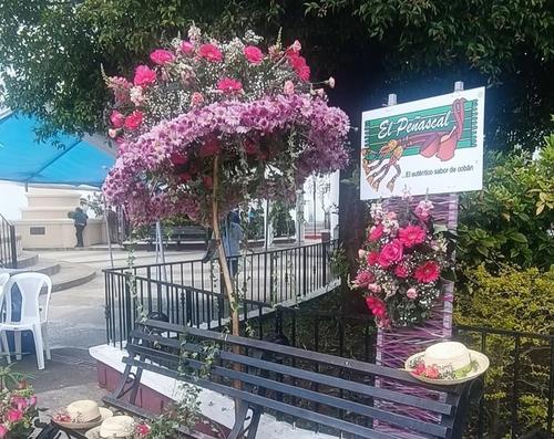 El Parque central ser&aacute; el escenario de exhibiciones florales. (Foto: Asociaci&oacute;n Altaverapacense de Orquideolog&iacute;a)