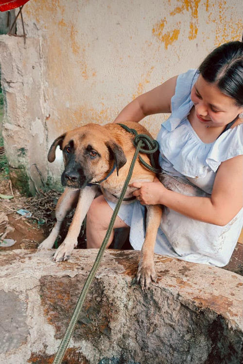  Rescate, perro, cae, pozo, Guatemala, noticias, Soy502 3