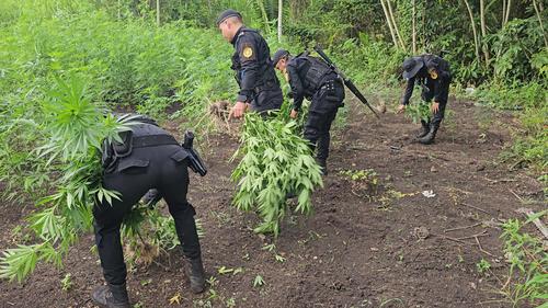 (Foto v&iacute;a: Polic&iacute;a Nacional Civil)
