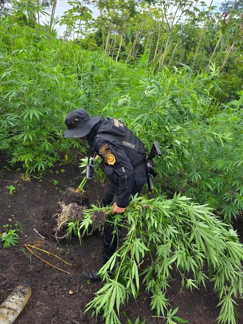 (Foto v&iacute;a: Polic&iacute;a Nacional Civil)
