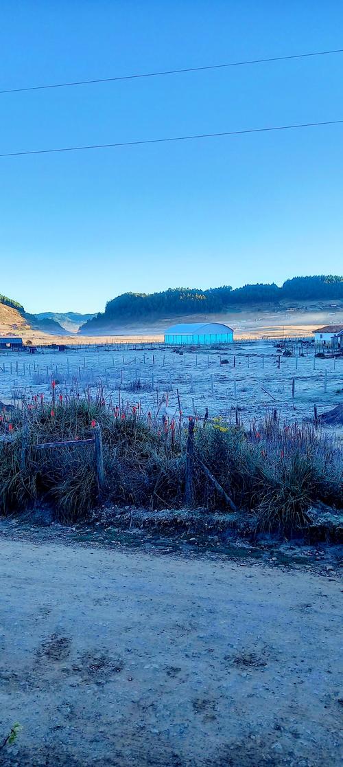 (Foto: Ovejas y Llamas de la Sierra)