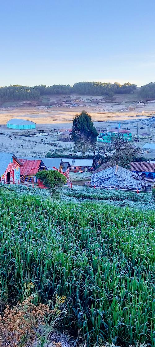 (Foto: Ovejas y Llamas de la Sierra)