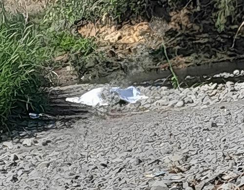 Los cuerpos de ambas v&iacute;ctimas mortales se encontraban en un lugar de terracer&iacute;a. (Foto: Manuel Peralta/colaborador)