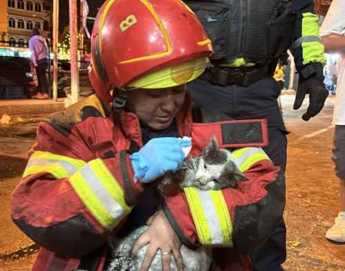 Afortunadamente ninguna vida se perdi&oacute; durante el siniestro (Foto: CBM)
