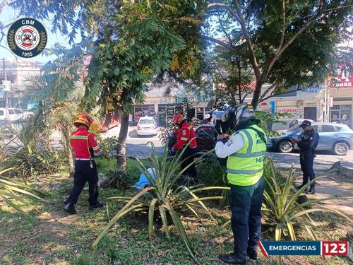 (Foto: Bomberos Municipales)