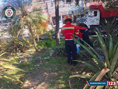 (Foto: Bomberos Municipales)