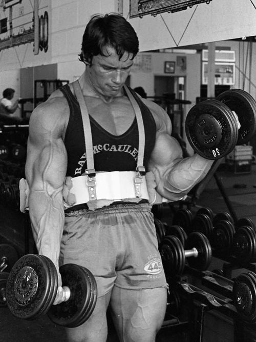 El plan est&aacute; dirigido a personas que se quedaron sin trabajo. (Foto: Arnold Schwarzenegger)