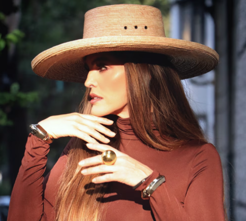 ana bárbara anuncia retiro 2