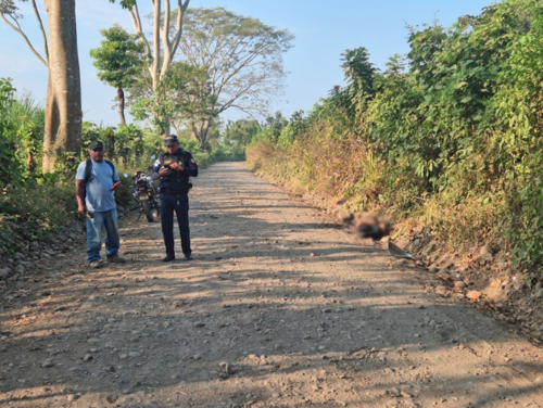 El cuerpo de la v&iacute;ctima fue prendido en llamas y fueron vecinos del sector quienes hicieron el hallazgo. (Foto: &Aacute;ngel Revolorio/colaborador)