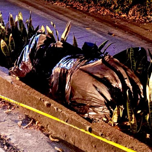 Los cuerpos fueron encontrados en las mismas condiciones que en las de un hallazgo reportado la semana pasada. (Foto: Amilcar Montejo)