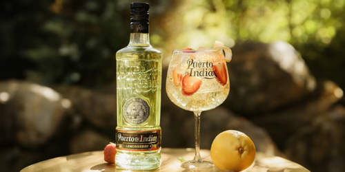 La adquisici&oacute;n de Puerto de Indias busca consolidar la presencia del grupo en mercados de alto valor estrat&eacute;gico. (Foto: bondston.com)