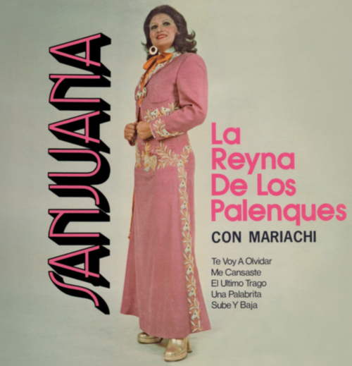 la bikina sanjuana reyna 2