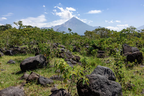 Grandes rocas se observan en el recorrido. (Foto: Oswaldo Cop/Colaborador)