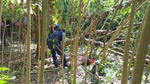 (Foto: Surama Rodas/colaboradora)