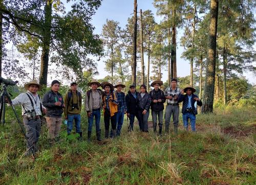 Al contratarse a gu&iacute;as locales, se ampl&iacute;a la posibilidad de observar a las aves nativas. (Foto: Alfonso Gu&aacute;rquez/Colaborador)