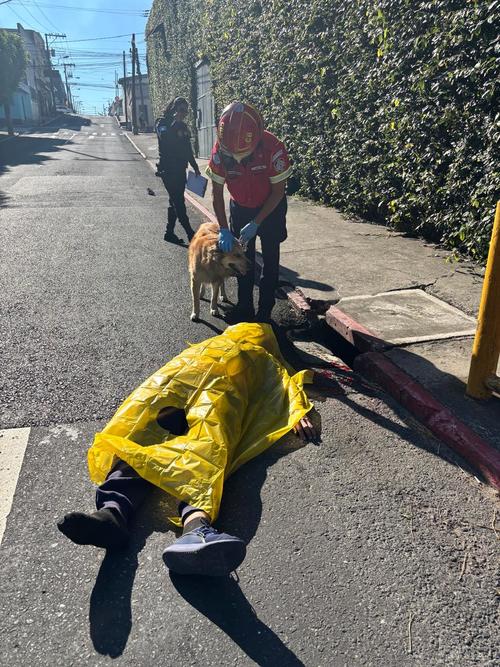 La v&iacute;ctima caminaba acompa&ntilde;ado de su mascota. (Foto: Bomberos Municipales)