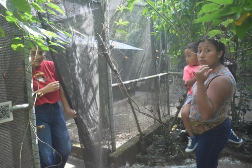 Act&uacute;n Kan: El parque regional de Pet&eacute;n ideal para educaci&oacute;n ambiental. (Foto: Colaboraci&oacute;n/Carlos Pel&aacute;ez)