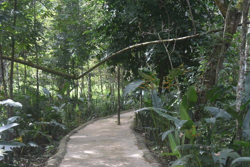 Vista general del mariposario ubicado en el Parque Regional Municipal Act&uacute;n Kan. (Foto: Colaboraci&oacute;n/Carlos Pel&aacute;ez)