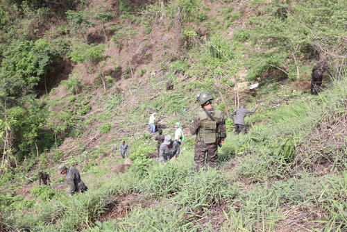 Municipalidad impulsa reforestaci&oacute;n para mitigar impacto ambiental del AeroMetro. (Foto: Cortes&iacute;a Municipalidad de Guatemala)