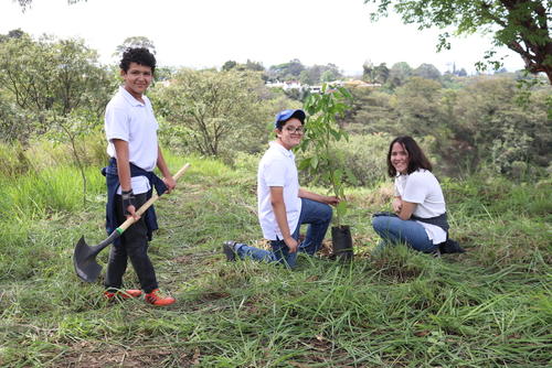 Anuncian la siembra de &aacute;rboles para proteger el entorno y fortalecer el cintur&oacute;n ecol&oacute;gico. (Foto: Cortes&iacute;a Municipalidad de Guatemala)