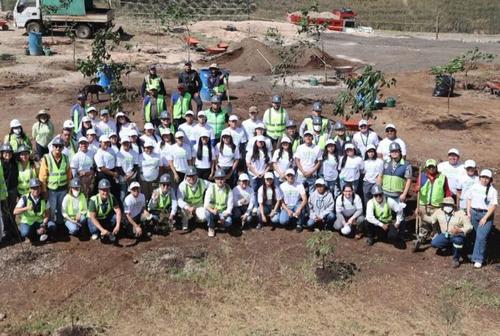 Grupos de estudiantes participan en las jornadas de reforestaci&oacute;n en la ciudad. (Foto: Cortes&iacute;a Municipalidad de Guatemala)