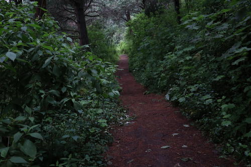 Los senderos para el ascenso est&aacute;n bien marcados. (Foto: Oswaldo Cop/Colaborador)