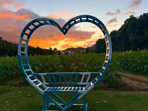 Bellos paisajes puedes apreciar en tu visita. (Foto: Finca Los Girasoles Esquipulas)