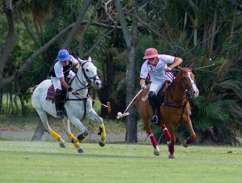 Los primeros encuentros de la Copa Argentina de Polo est&aacute;n programados para disputarse este jueves a partir de las 15 horas. (FOTO: Norvin Mendoza / Asociaci&oacute;n de Polo)