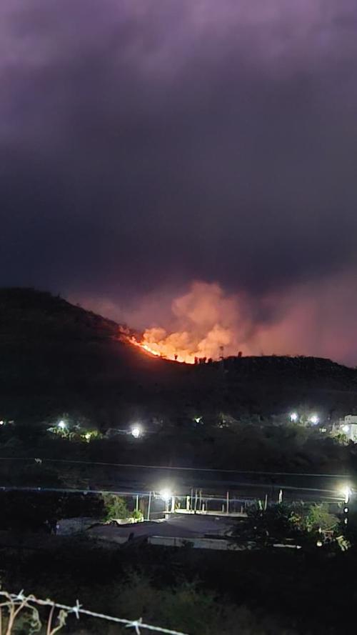 Los incendios forestal afectan a la fauna silvestre, provocando la p&eacute;rdida de refugios, fuentes de alimento y poniendo en riesgo la supervivencia de muchas especies. (Foto: Conred)