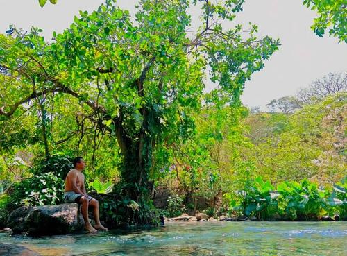 Cascadas alimentan el r&iacute;o que atraviesa el balneario. (Foto: Finca Agua Tibia GT)