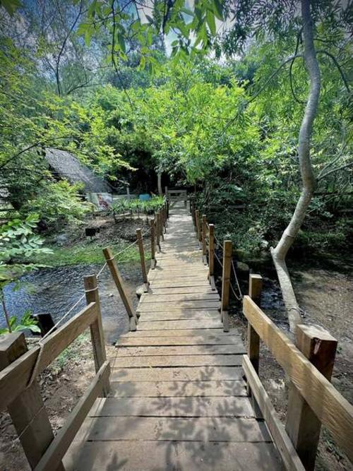 Se puede caminar sobre estructuras de madera integradas al entorno natural. (Foto: Finca Agua Tibia GT)