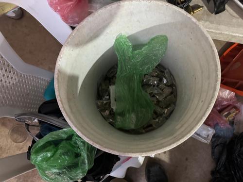 Cinco libras de marihuana fueron localizadas durante los allanamientos. (Foto: PNC)