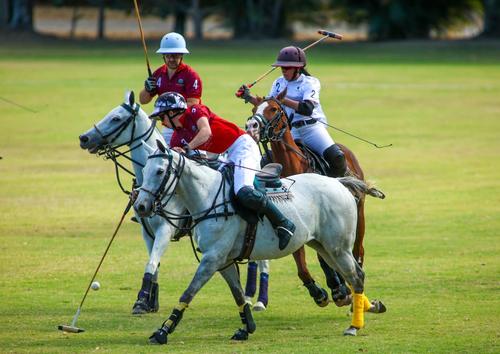 Cinco equipos son los que luchan por el t&iacute;tulo de la Copa Rep&uacute;blica de Argentina, en Las Canchas Polo Club. Cada conjunto est&aacute; compuesto por cuatro jinetes. (FOTO: Norvin Mendoza / Asociaci&oacute;n de Polo de Guatemala)