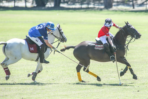 Este domingo se jugar&aacute; a partir de las 10 horas, la ronda round robin, para luego dar paso a la gran final del certamen. (Norvin Mendoza / Asociaci&oacute;n de Polo)