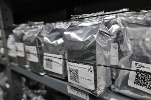 Semillas, biodiversidad agr&iacute;cola, Banco de Semillas, Noruega, 02