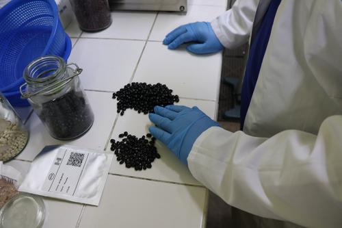 Semillas, biodiversidad agr&iacute;cola, Banco de Semillas, Noruega, 03