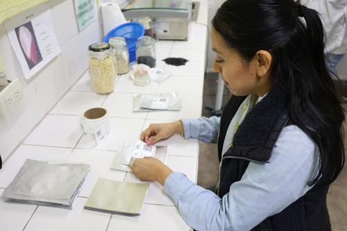 Semillas, biodiversidad agr&iacute;cola, Banco de Semillas, Noruega, 04