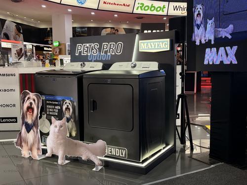 Max, mascotas, lavander&iacute;a, agua, Guatemala, Soy502