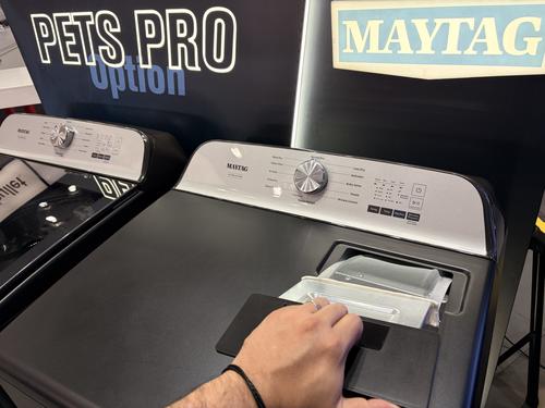 Max, mascotas, lavander&iacute;a, agua, Guatemala, Soy502