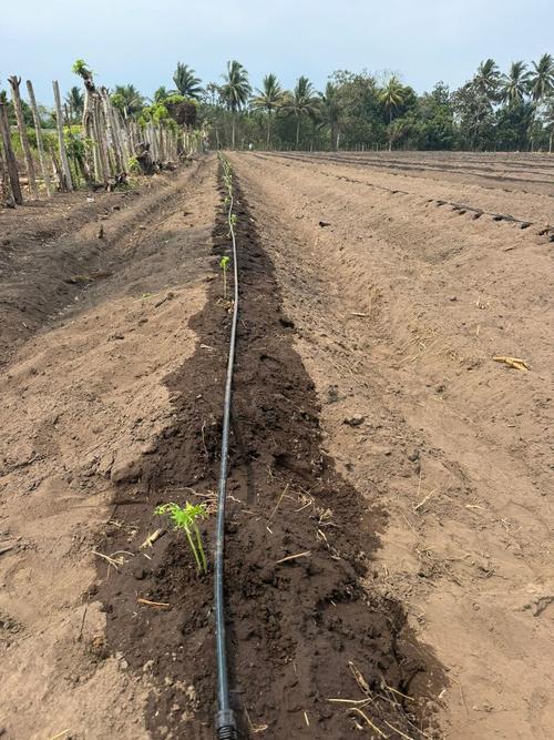 Existen varias formas de regar los terrenos. (Foto: Henry L&oacute;pez/Colaborador)
