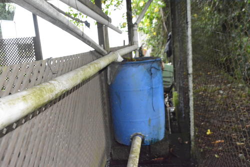 El aprovechamiento de la lluvia reduce el uso de agua potable para el sistema de riego. (Manuel Peralta/Colaborador)