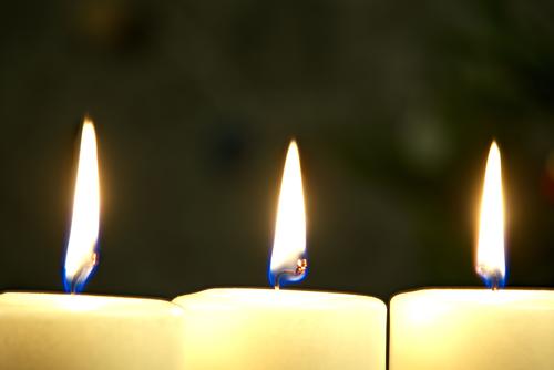 (Foto: Shutterstock)