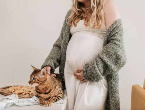 gato toxoplasmosis embarazo 1