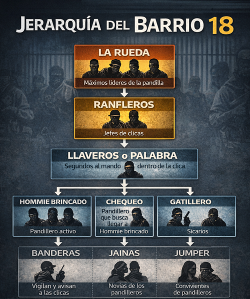 Esta es la jerarqu&iacute;a dentro del Barrio 18. (Imagen ilustrativa generada por IA)