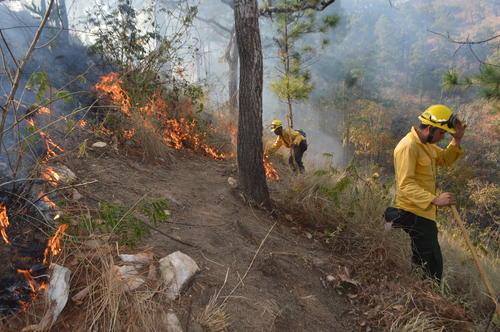 Los socorristas est&aacute;n preparados para atender cualquier emergencia. (Foto: Juan Carlos Aquino/Colaborador)