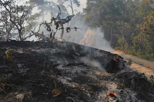 Mant&eacute;n los caminos libres de contaminaci&oacute;n. (Foto: Juan Carlos Aquino/Colaborador)