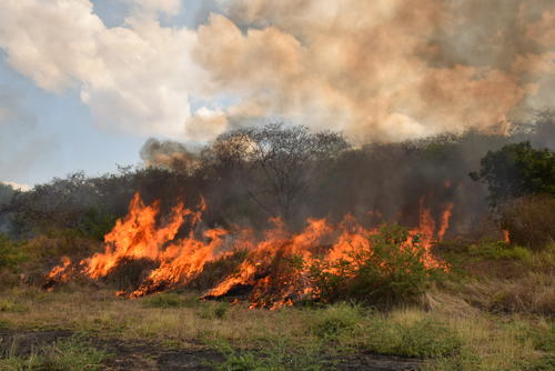 No realices fogatas, especialmente cuando hay mucho calor o vientos intensos. (Foto: Juan Carlos Aquino/Colaborador)