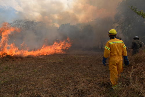 Bomberos forestales llaman a prevenir incendios en &eacute;poca seca. (Foto: Juan Carlos Aquino/Colaborador)